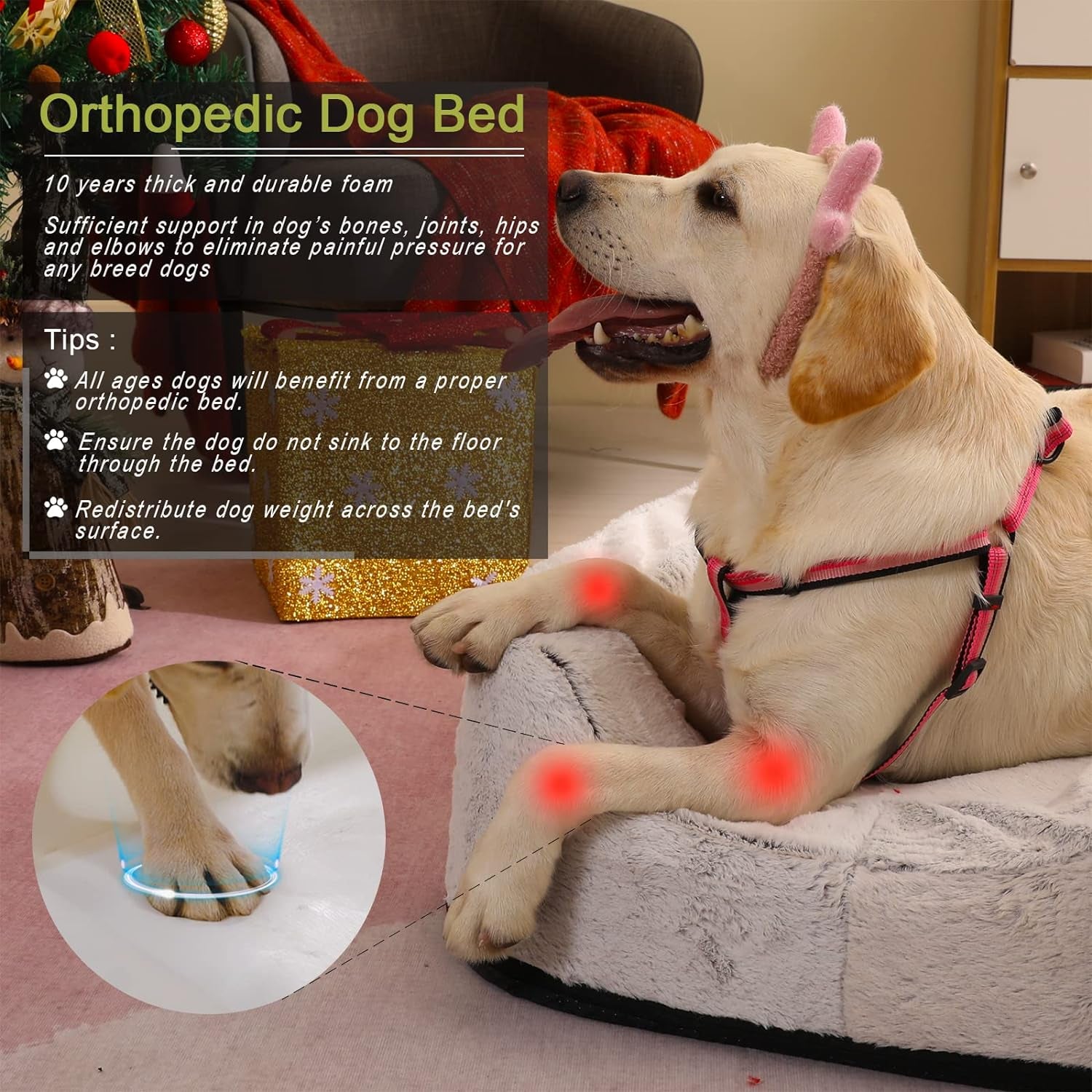 Customizable Orthopedic Dog Bed with Waterproof Cover and Supportive Bolsters for All Breeds